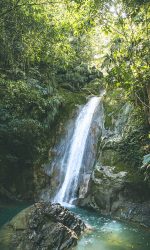 Parque Nacional de Tingo Maria